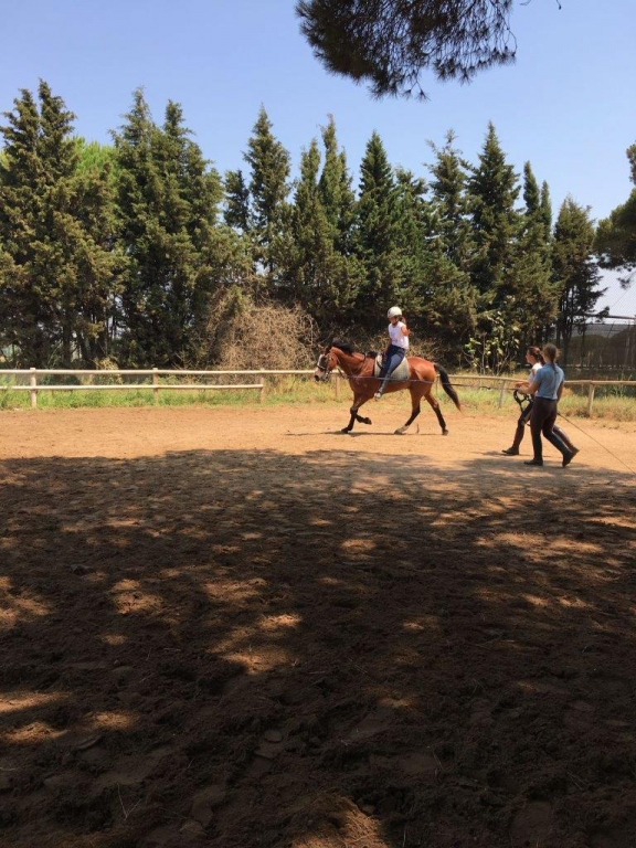 Village Camps International Summer Camp Chiclana, Spain 2017-07-28 https://www.villagecamps.com/journals_admin/images/1845-0137-GOPR2185 (8).jpg